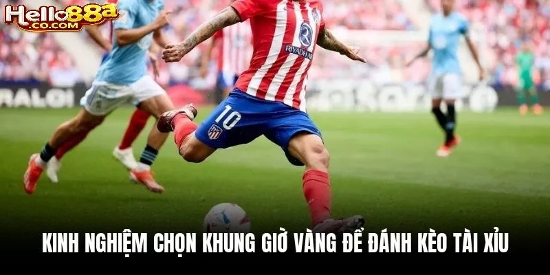 Kinh Nghiệm Chơi Kèo Tài Xỉu 0.5 Hiệu Quả