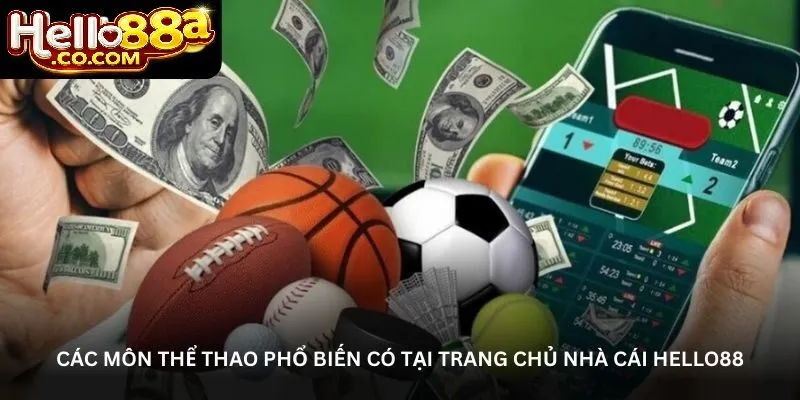 Những Lưu Ý Khi Tham Gia Thể Thao Hello88
